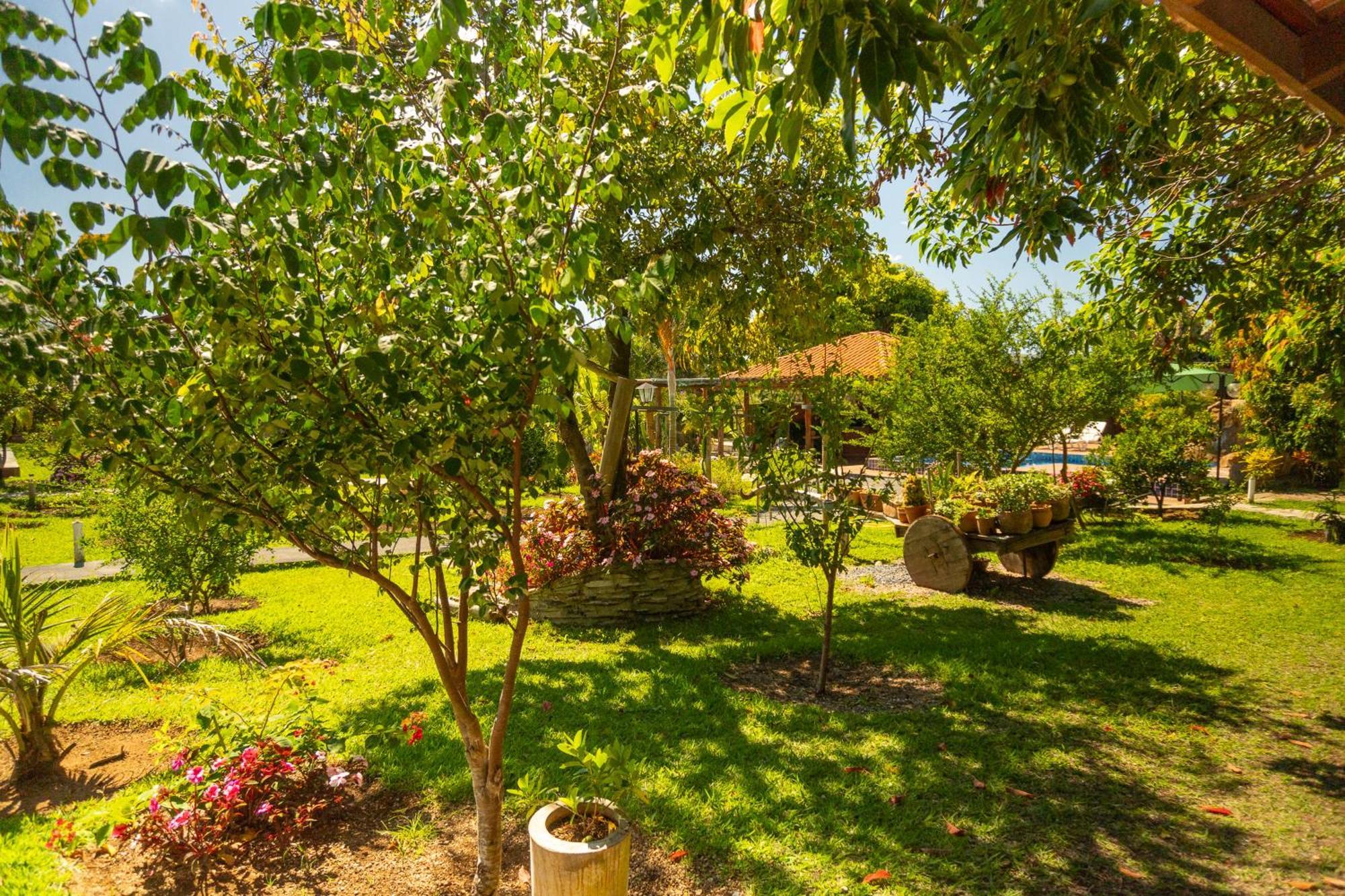 Vila Da Mata Chales Alto Paraíso de Goiás Eksteriør bilde